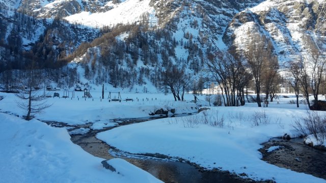 photo14.jpg