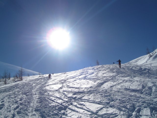 photo39.jpg