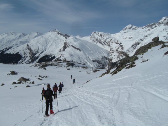 surettasee34.jpg
