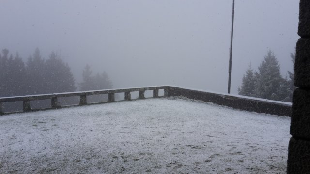 montebisbino49.jpg