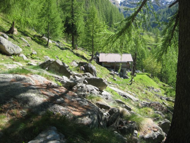 img_8630.jpg