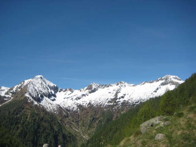 img_8644.jpg