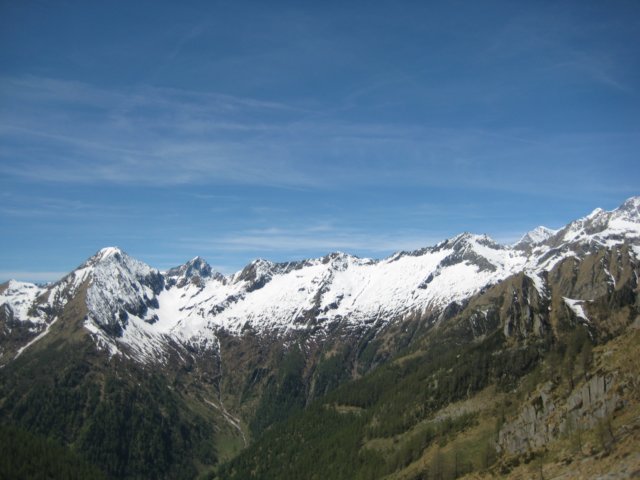 img_8676.jpg