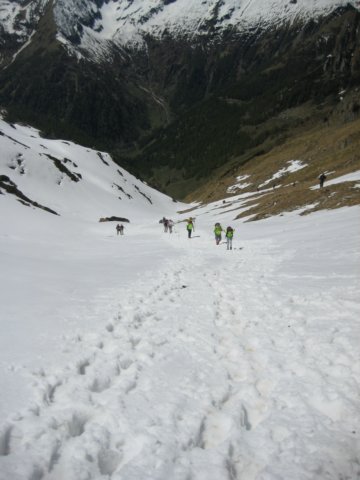 img_8686.jpg
