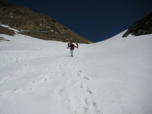 img_8704.jpg