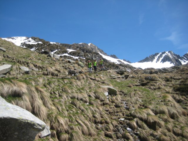 img_8731.jpg
