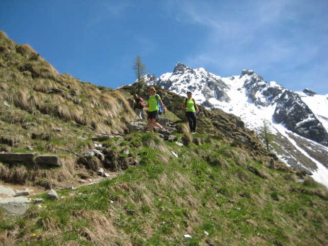 img_8750.jpg