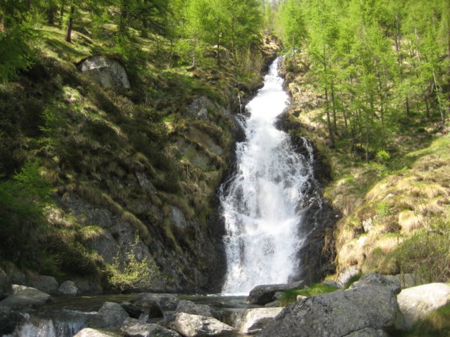 img_8761.jpg