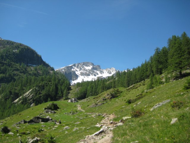 img_8869.jpg