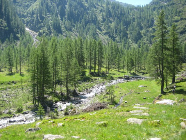 img_8872.jpg