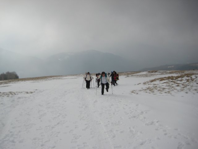 img_9406.jpg