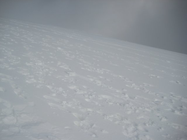 img_9415.jpg