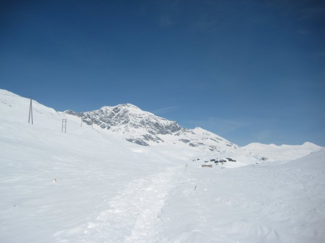 img_9464.jpg