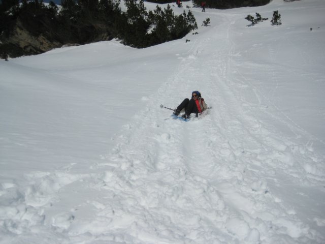 img_9501.jpg