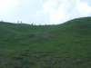 photo11_small.jpg