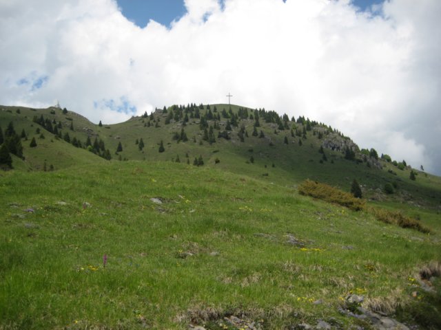 photo22.jpg