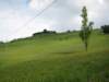 photo2_small.jpg