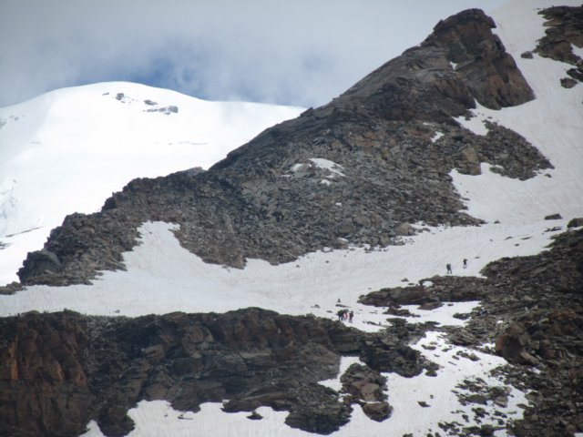 castore37.jpg