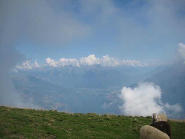 bregagno75.jpg