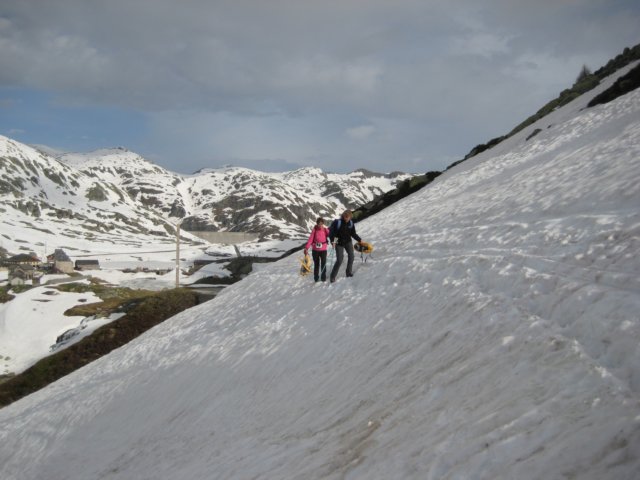 posmeda11.jpg