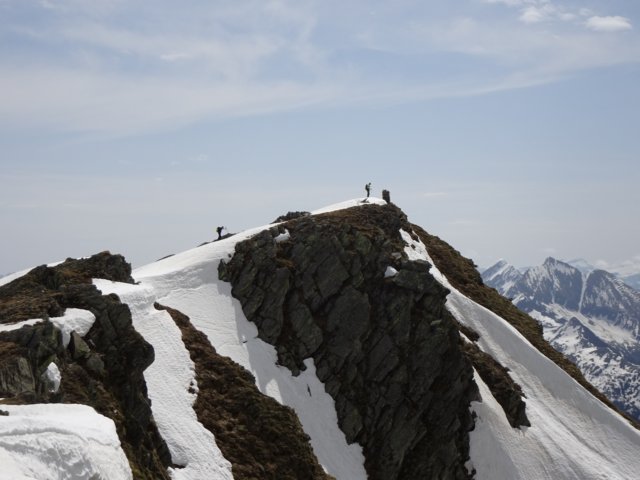 posmeda36.jpg