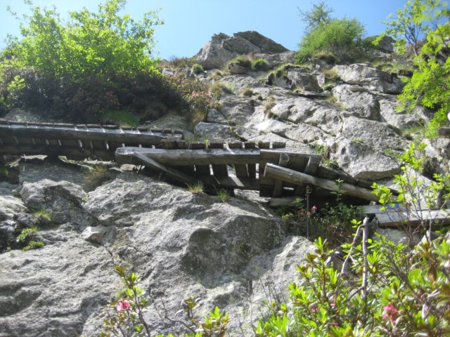 sassariente16.jpg