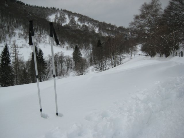 photo16.jpg