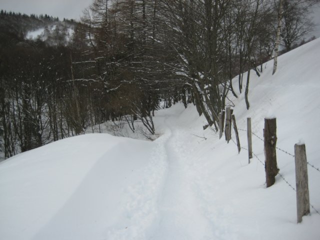 photo20.jpg