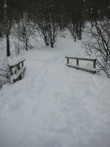photo22.jpg