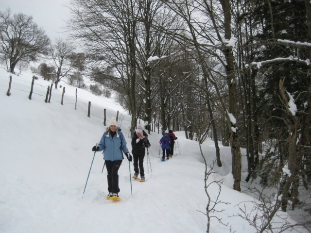 photo23.jpg