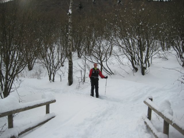 photo26.jpg