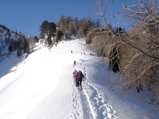 photo16.jpg