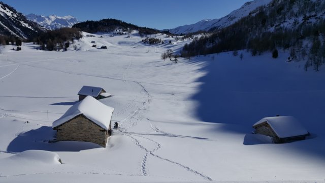 photo29.jpg