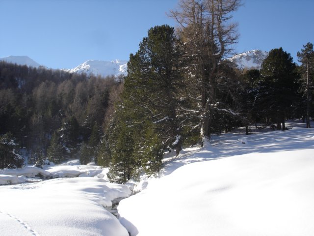 photo5.jpg