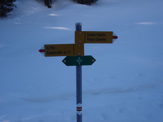 photo6.jpg
