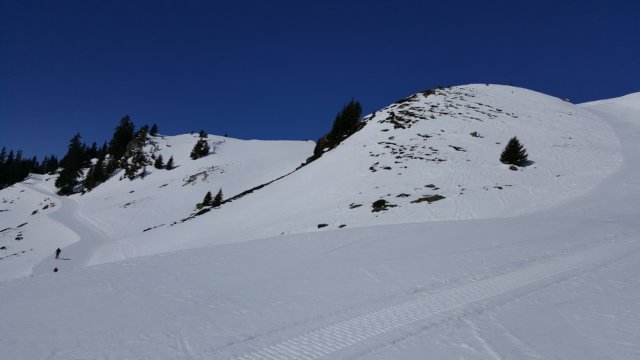 photo11.jpg
