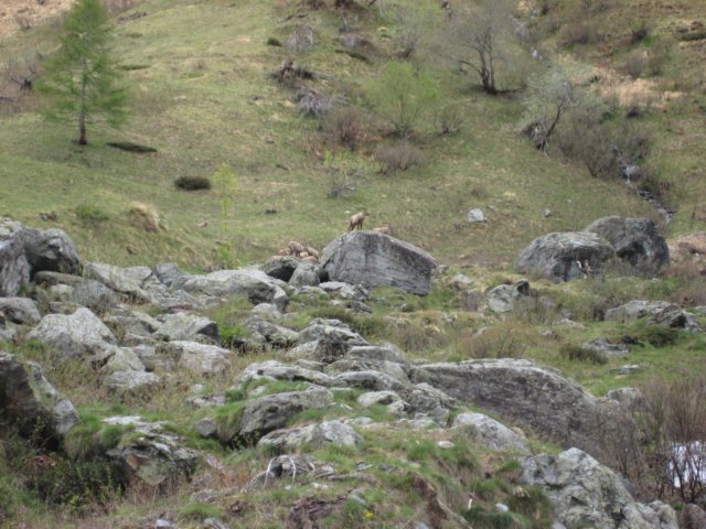 rifugioandolla47.jpg