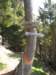 rifugioandolla11_small.jpg