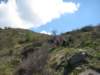 rifugioandolla13_small.jpg