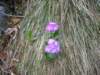 rifugioandolla17_small.jpg