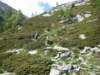 rifugioandolla50_small.jpg