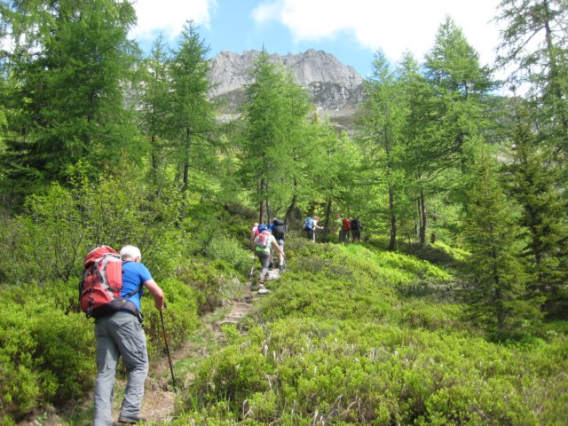 salbit10.jpg