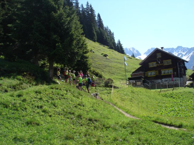 salbit8.jpg