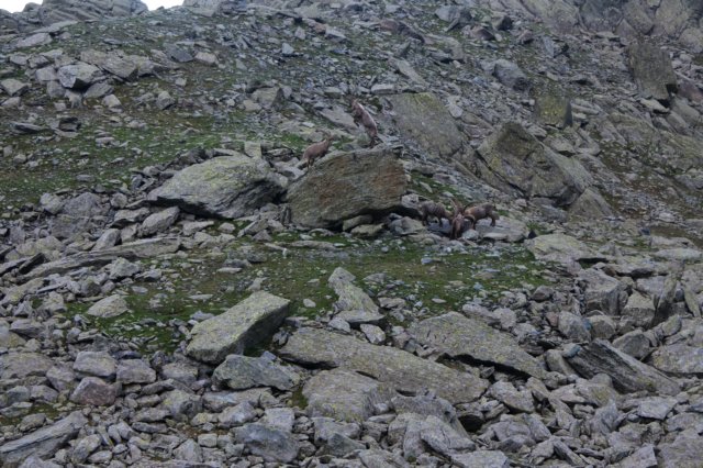 b3.jpg