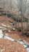 _114619_small.jpg
