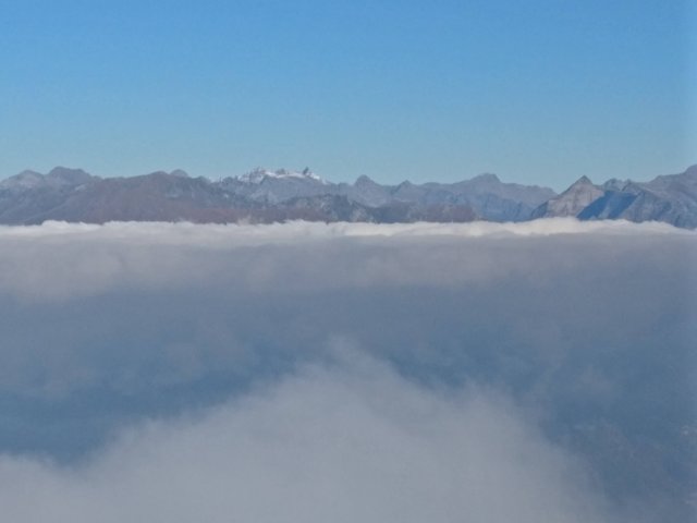 tamaro1.jpg